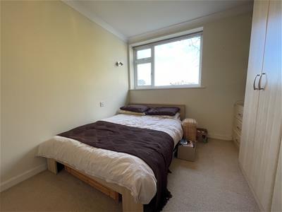 Picture 24